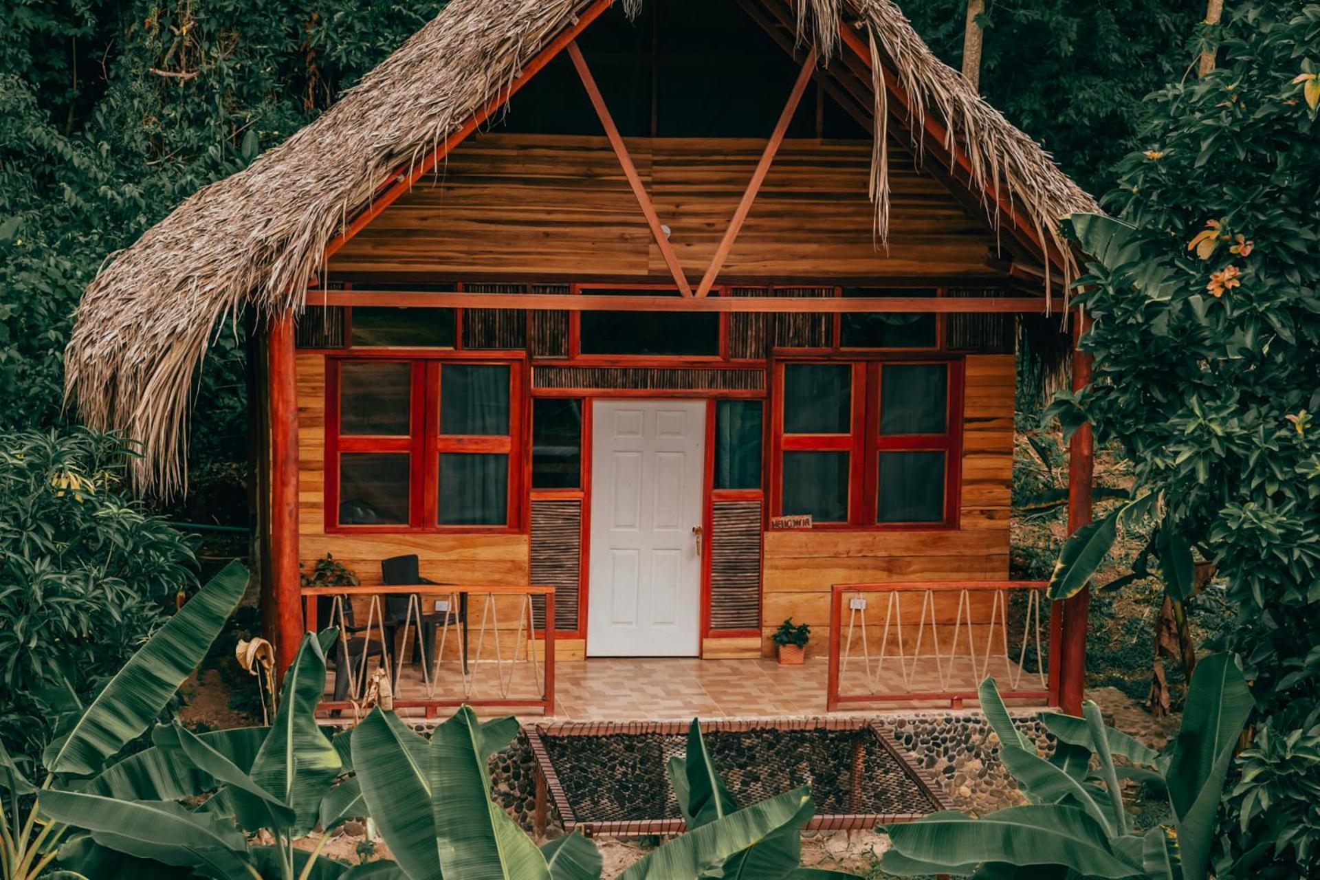 Magic Green Dentro Del Parque Tayrona エル・ザイノ エクステリア 写真