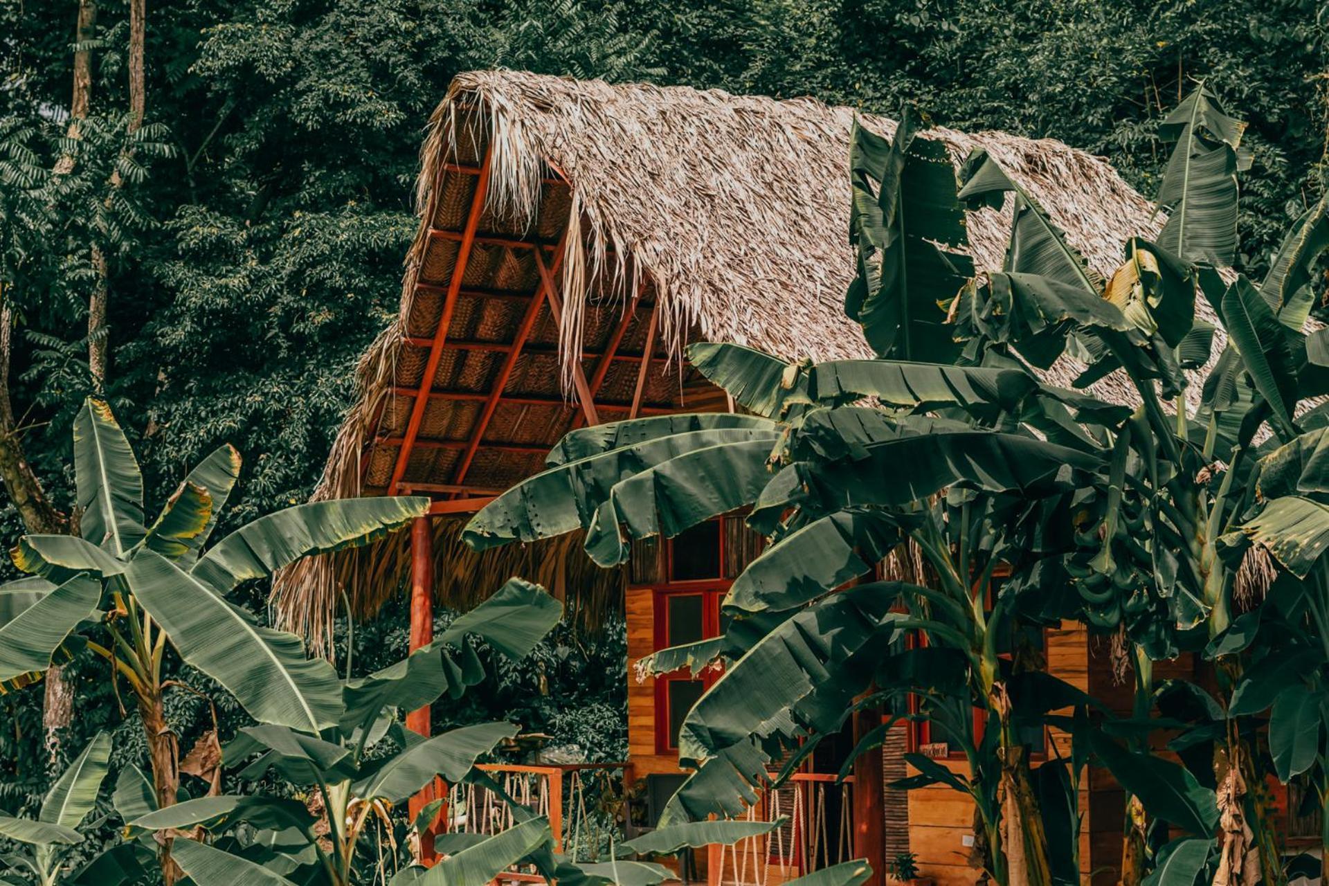 Magic Green Dentro Del Parque Tayrona エル・ザイノ エクステリア 写真