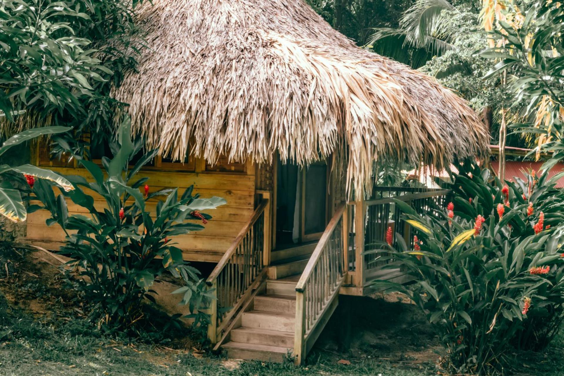 Magic Green Dentro Del Parque Tayrona エル・ザイノ エクステリア 写真