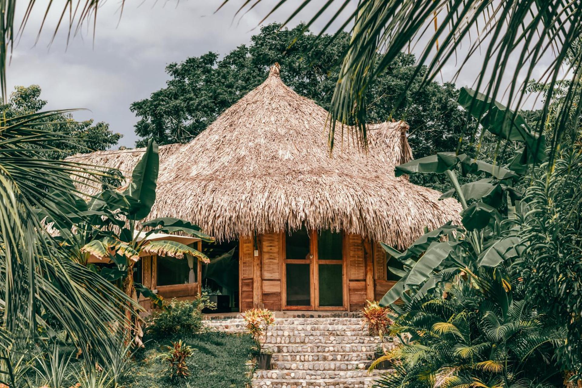 Magic Green Dentro Del Parque Tayrona エル・ザイノ エクステリア 写真