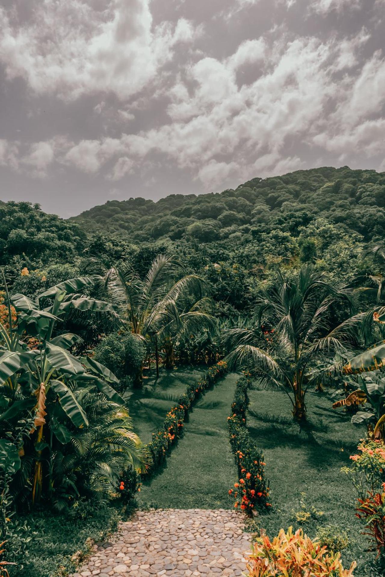 Magic Green Dentro Del Parque Tayrona エル・ザイノ エクステリア 写真