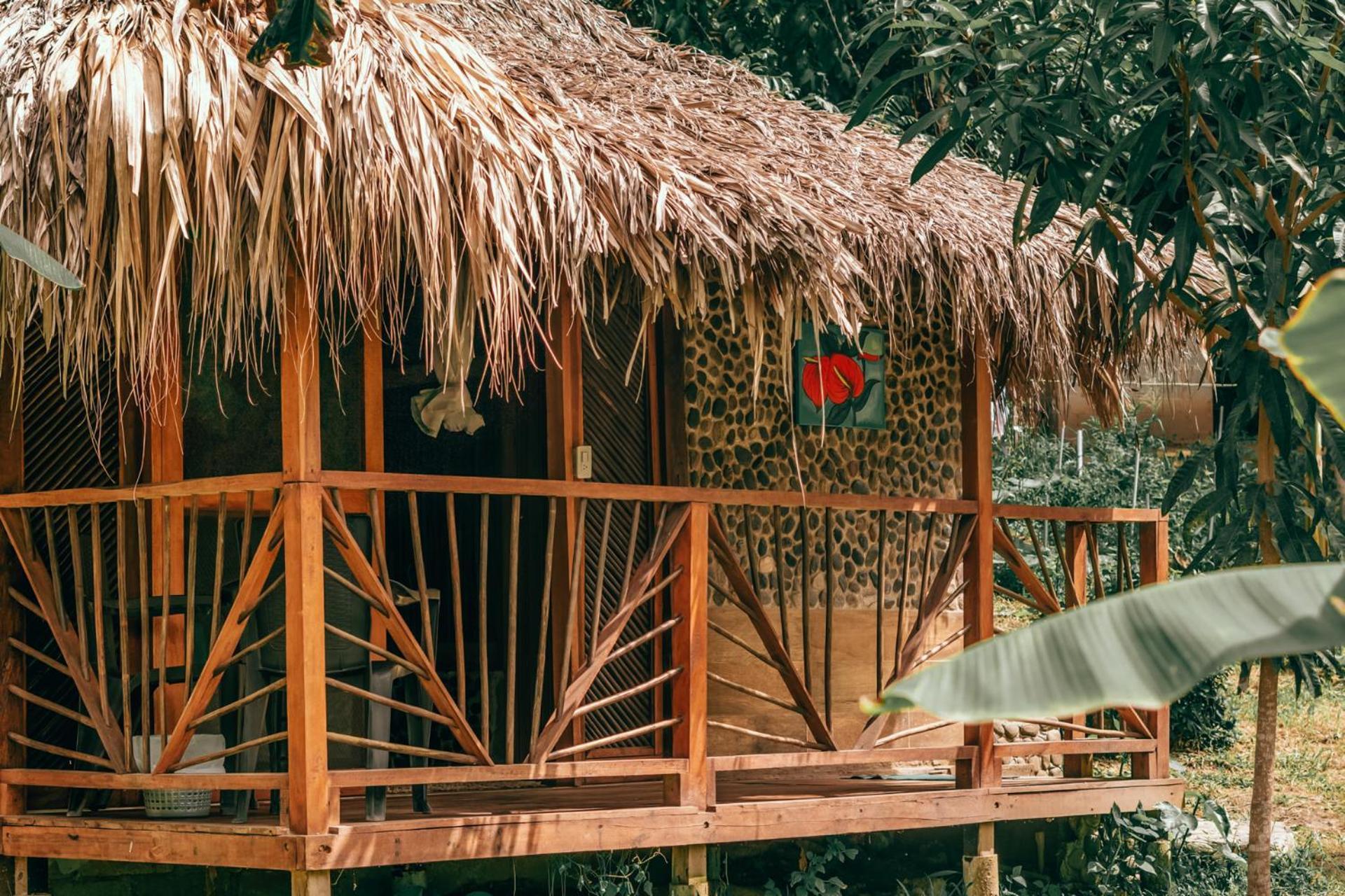 Magic Green Dentro Del Parque Tayrona エル・ザイノ エクステリア 写真