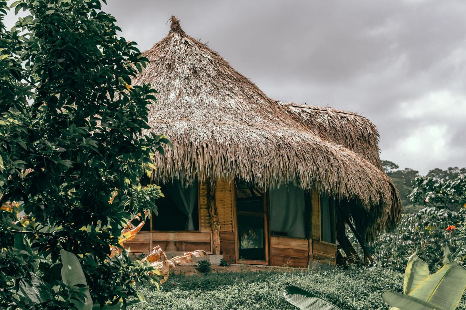 Magic Green Dentro Del Parque Tayrona エル・ザイノ エクステリア 写真