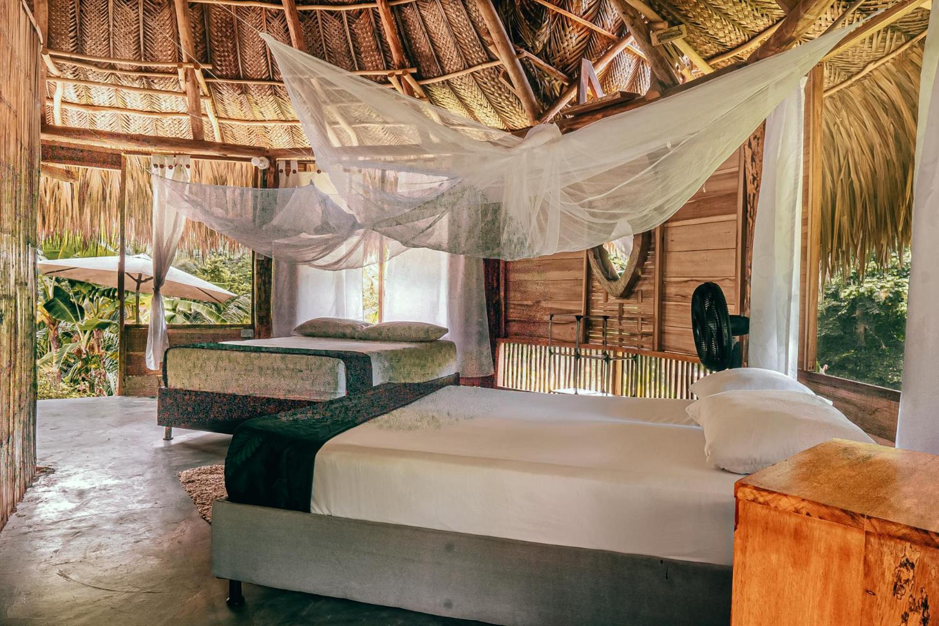 Magic Green Dentro Del Parque Tayrona エル・ザイノ エクステリア 写真