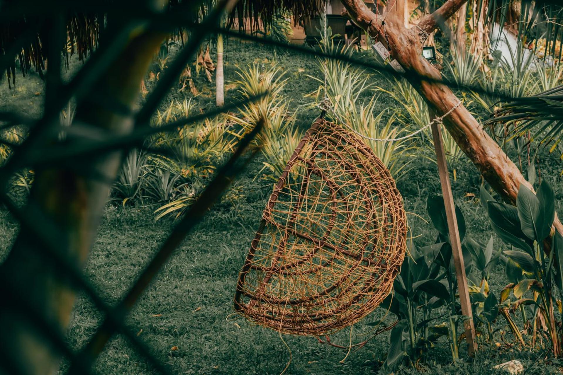 Magic Green Dentro Del Parque Tayrona エル・ザイノ エクステリア 写真