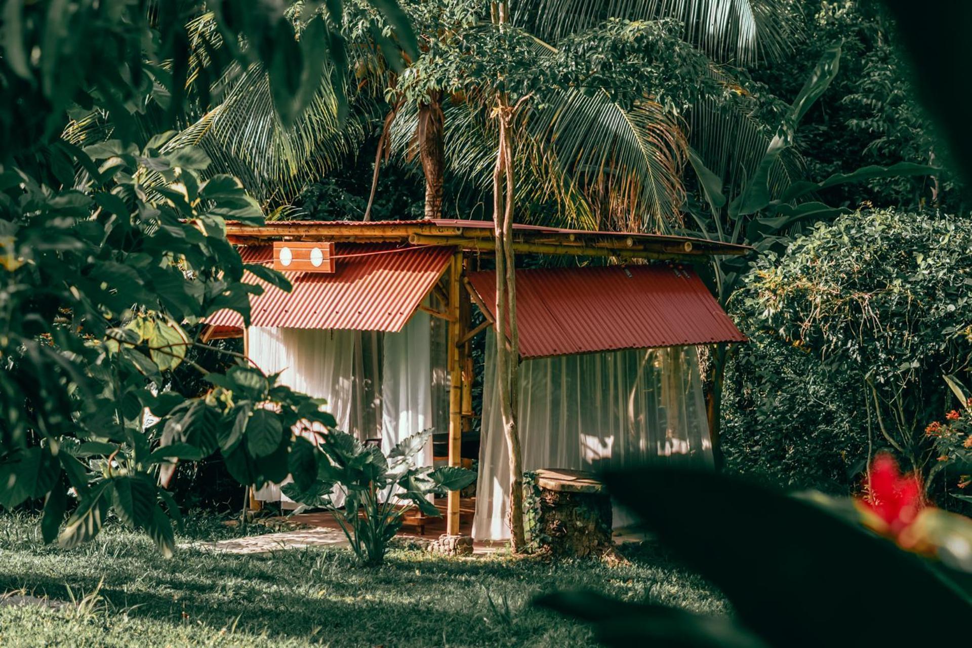 Magic Green Dentro Del Parque Tayrona エル・ザイノ エクステリア 写真