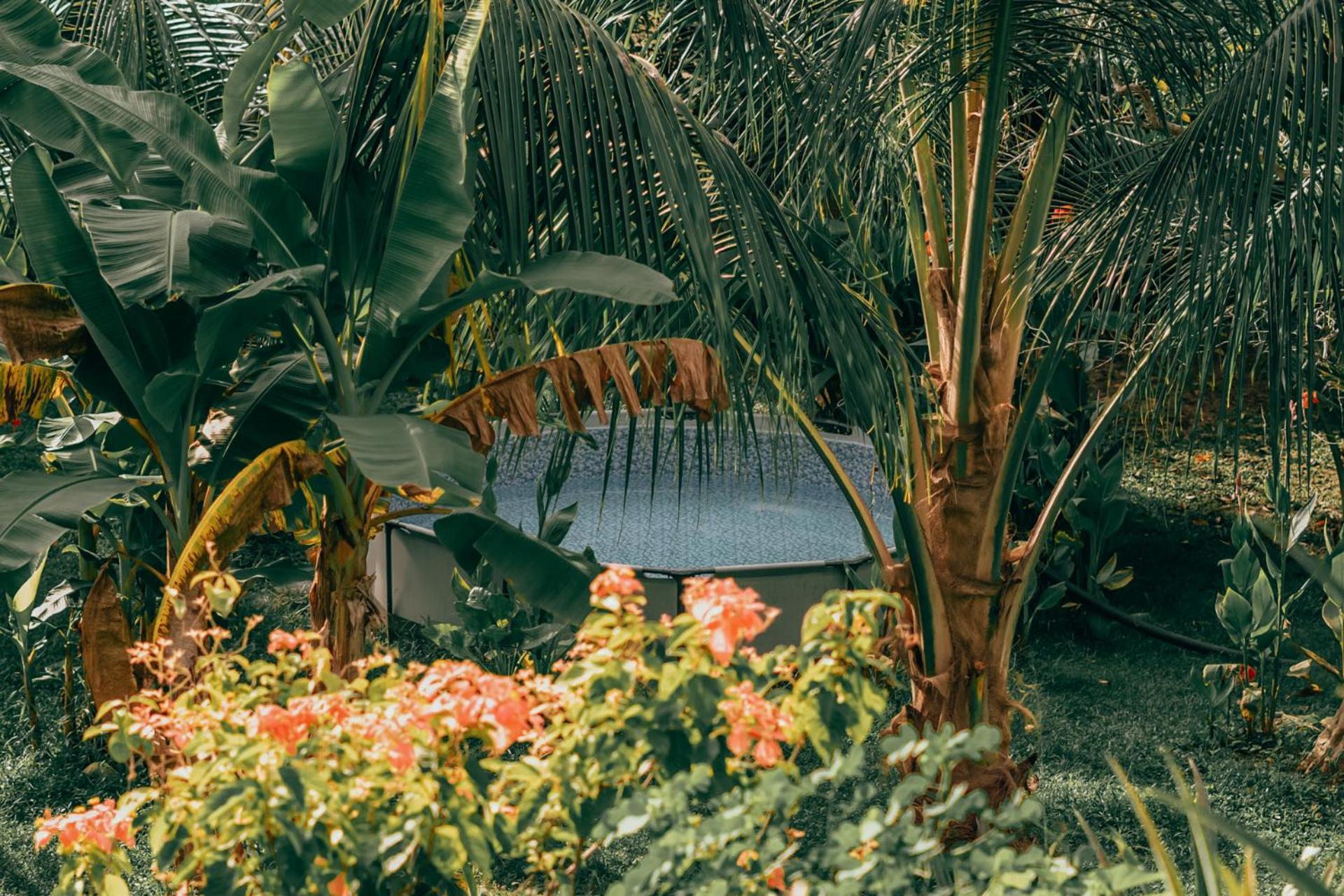 Magic Green Dentro Del Parque Tayrona エル・ザイノ エクステリア 写真