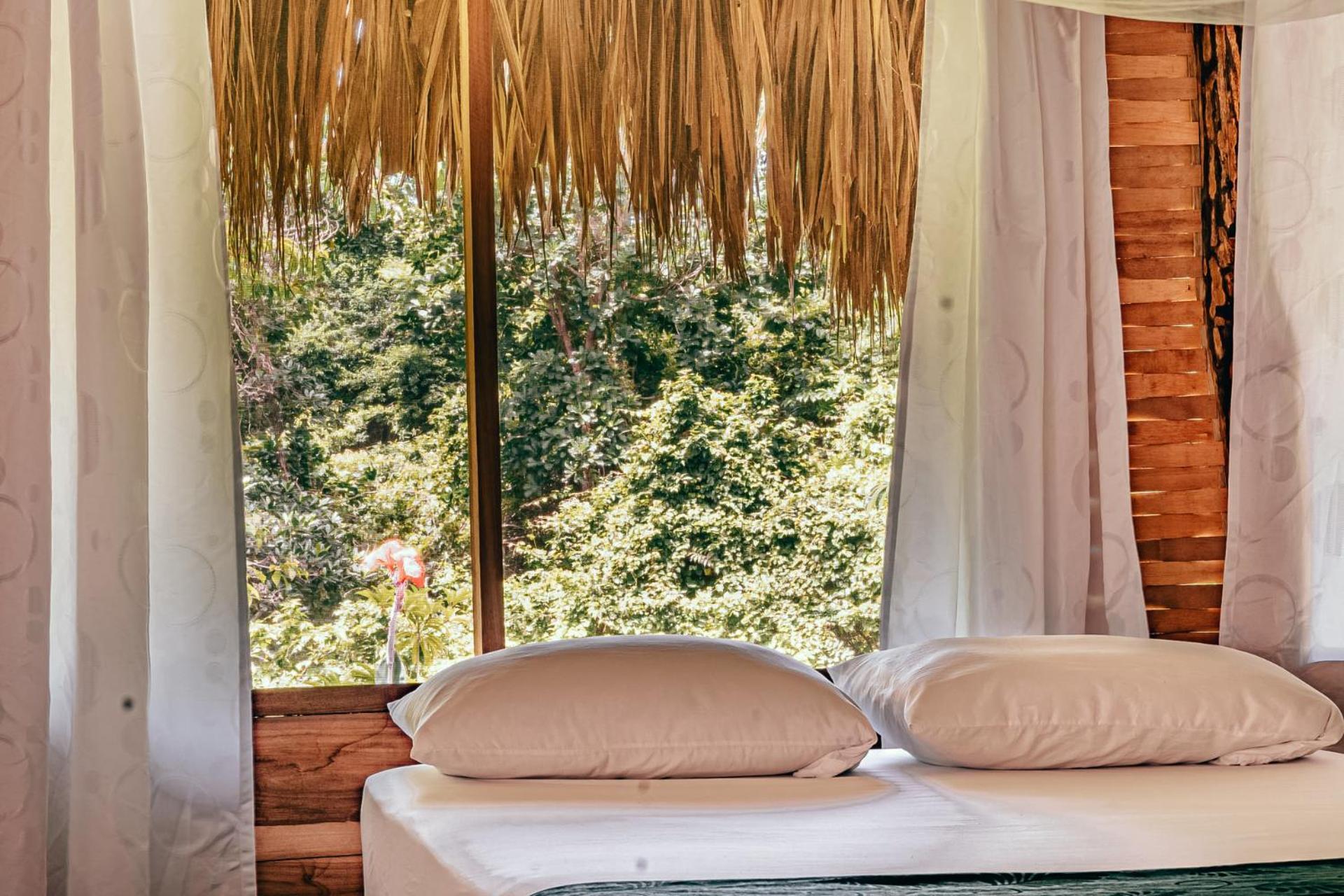 Magic Green Dentro Del Parque Tayrona エル・ザイノ エクステリア 写真