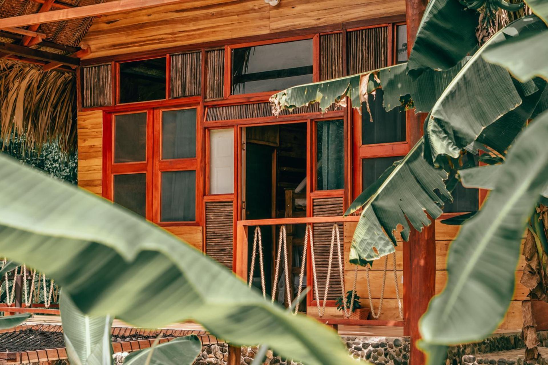 Magic Green Dentro Del Parque Tayrona エル・ザイノ エクステリア 写真