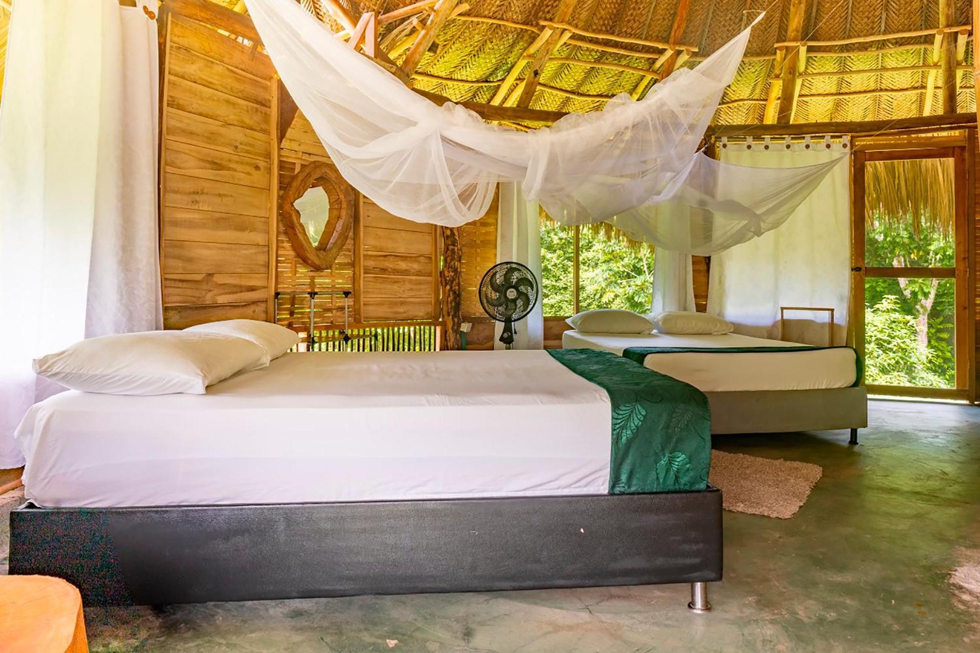 Magic Green Dentro Del Parque Tayrona エル・ザイノ エクステリア 写真