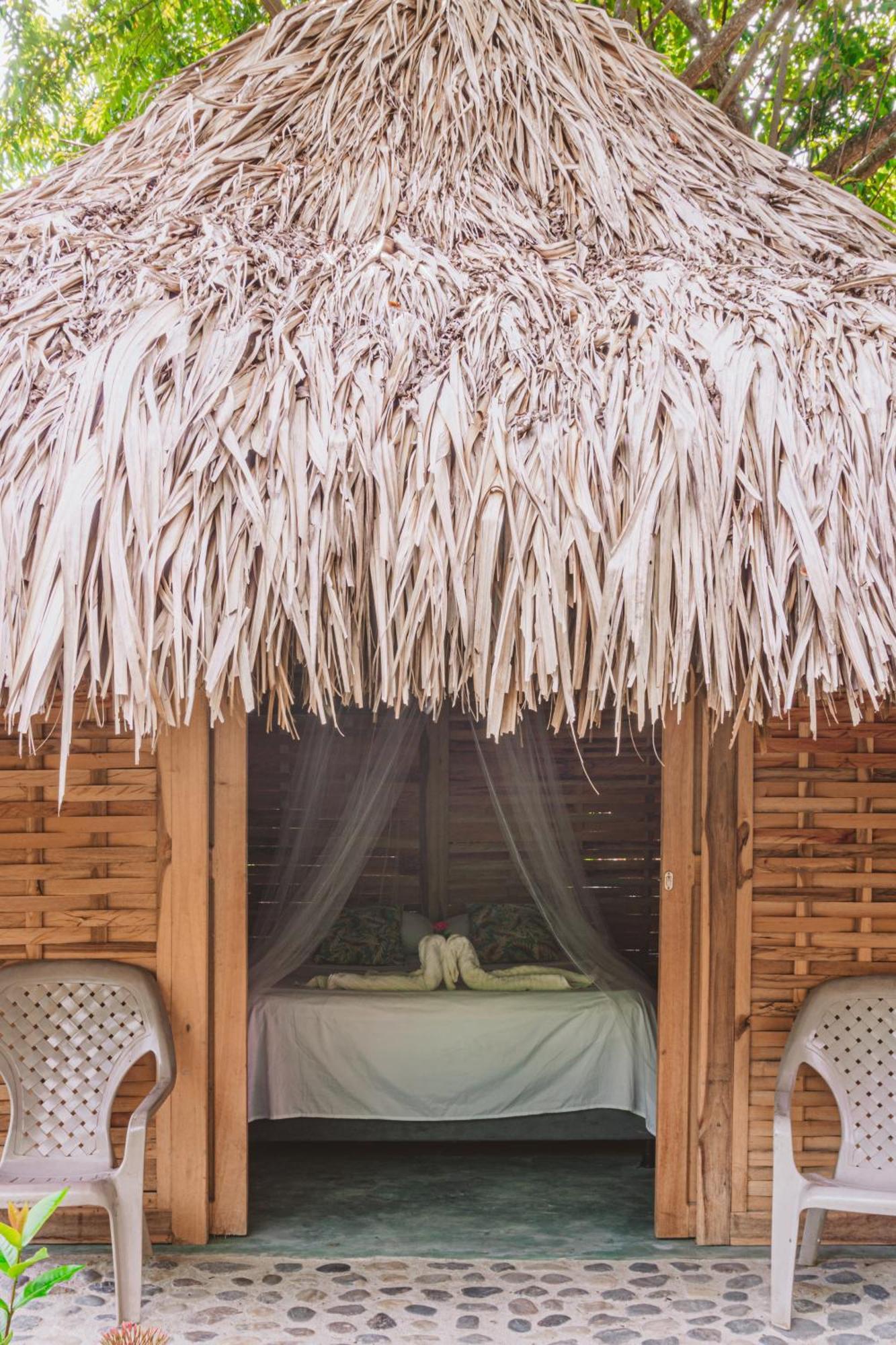Magic Green Dentro Del Parque Tayrona エル・ザイノ エクステリア 写真